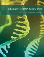 NEBNext_RNA_Illumina_Brochure_thumb