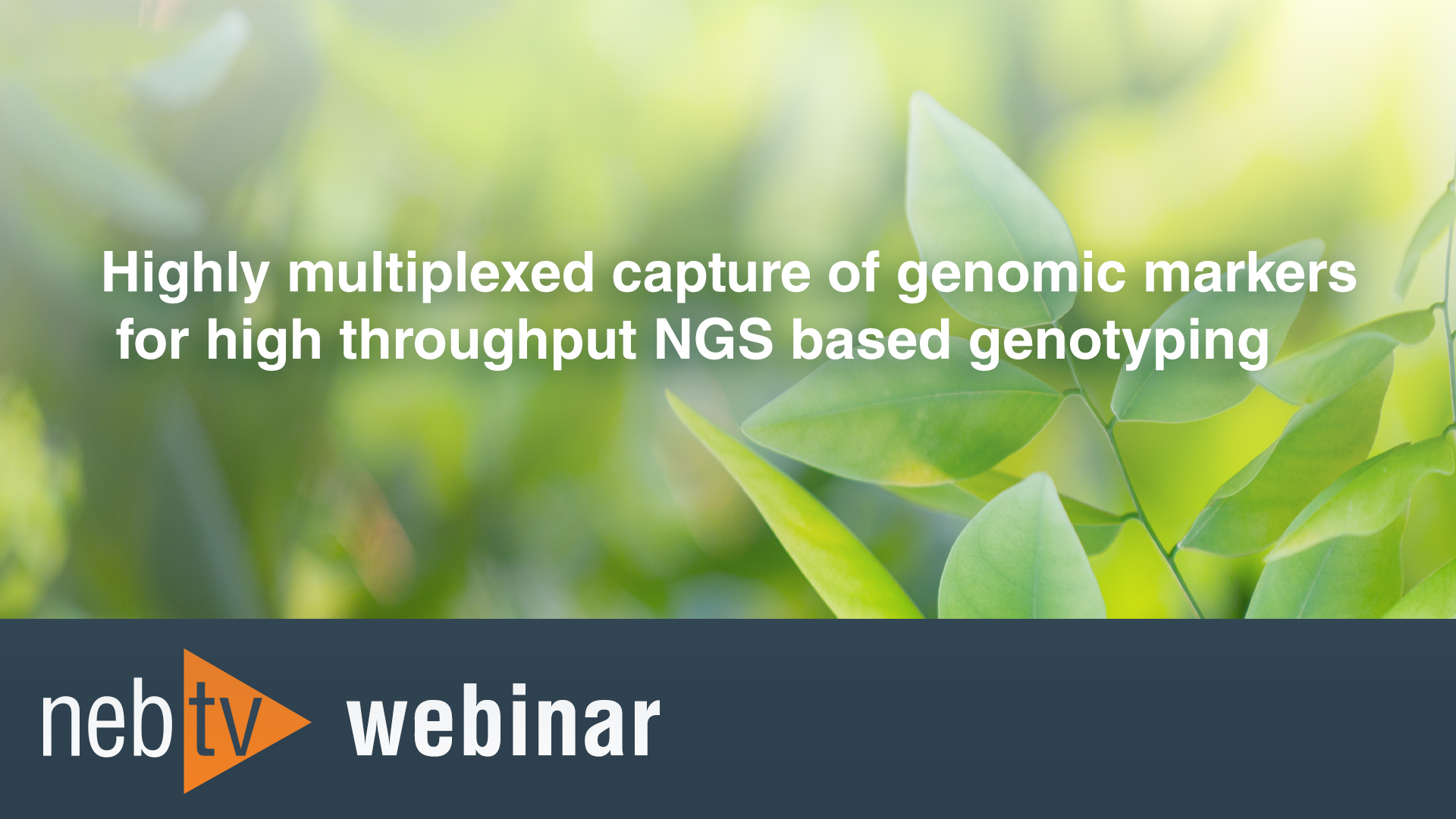 Highly multiplexed capture of genomic markers for high throughput NGS based genotyping