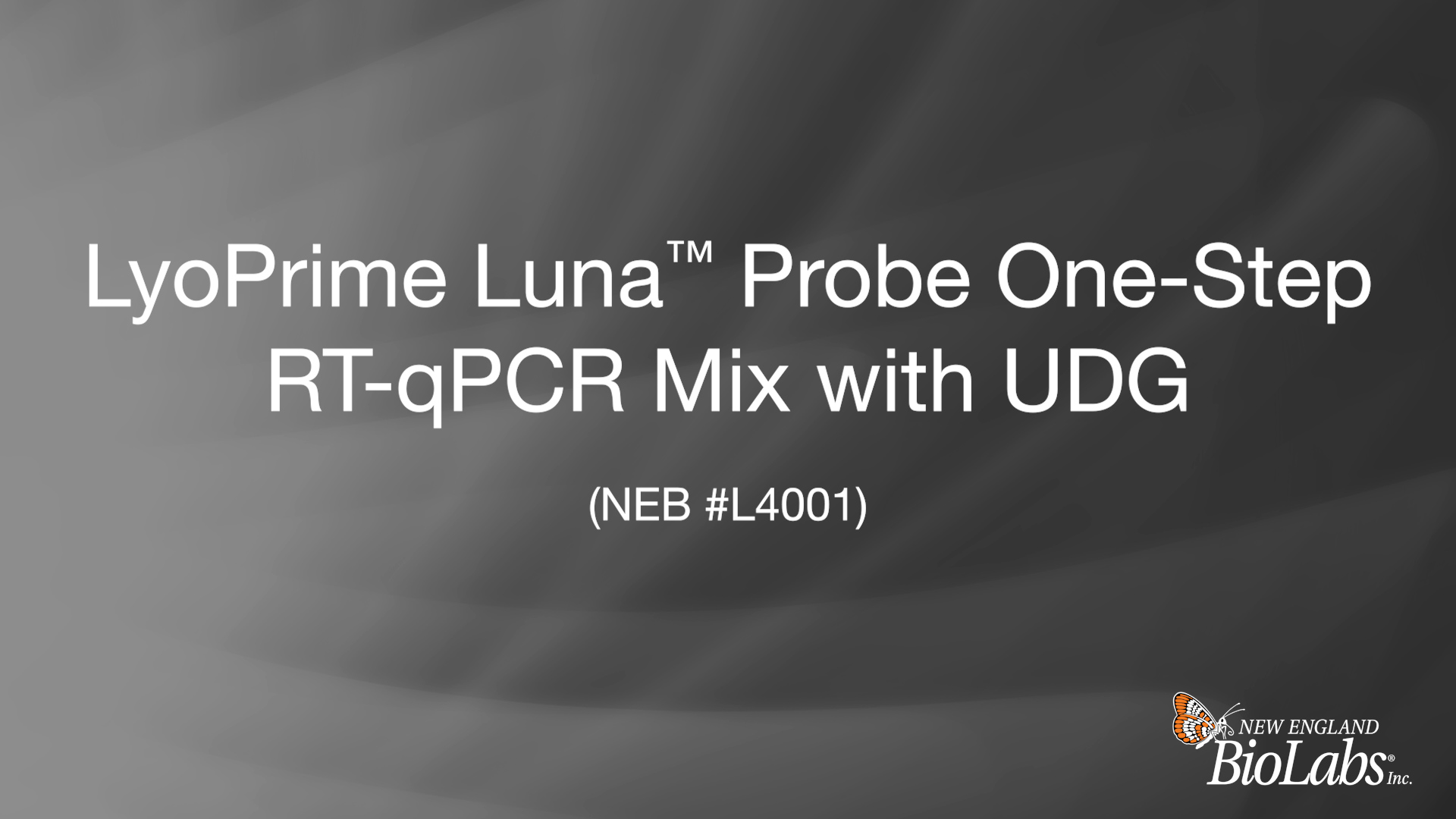 LyoPrime Luna™ Probe One-Step RT-qPCR Mix with UDG