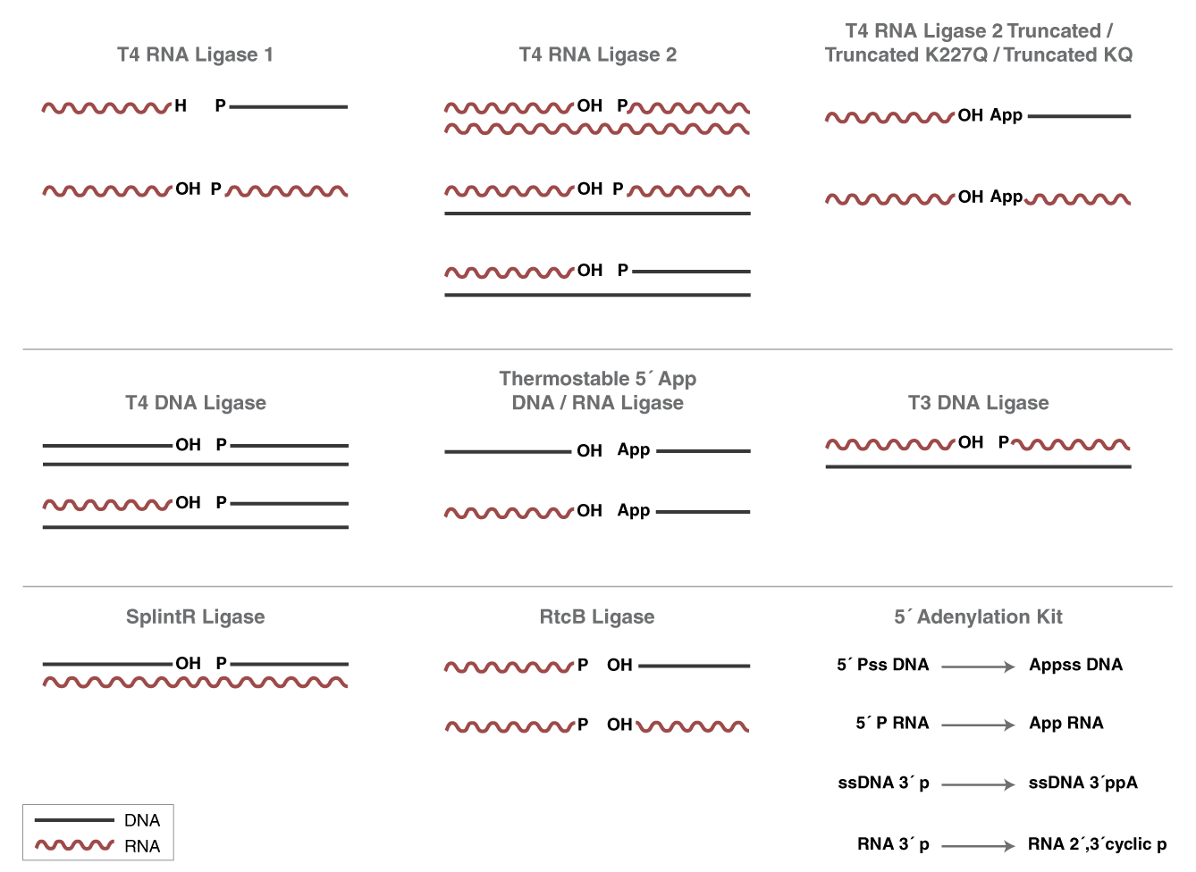 RNA Ligase Selection Chart